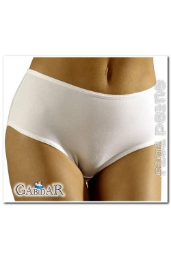 Gabidar 18 briefs