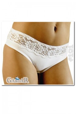 Gabidar 21 briefs