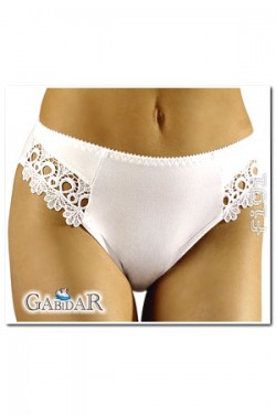 Gabidar 34 briefs