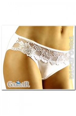 Gabidar 56 briefs