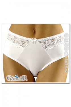 Gabidar 63 briefs